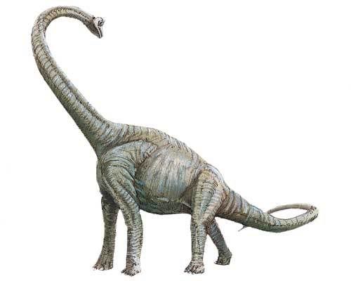 dinotopia brachiosaurus